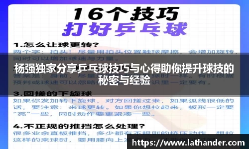 杨强独家分享乒乓球技巧与心得助你提升球技的秘密与经验